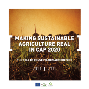 Portada Fact sheet: Making sustainable agricultura real in cap 2020